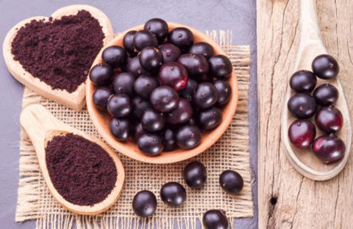 EKOS - Frescor Açaí