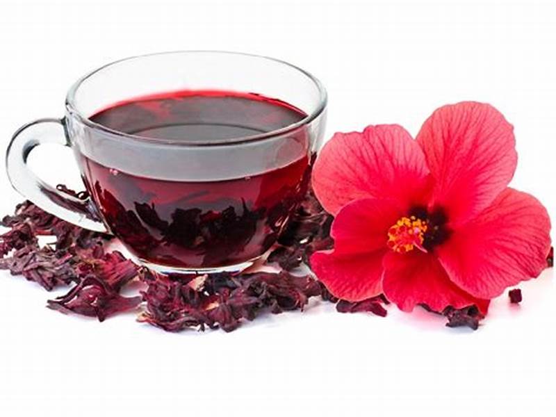 TODODIA- Roll-on Antiperspirant Deodorant Acerola & Hibiscus 70ml