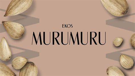 EKOS - Murumuru Night Hair Serum