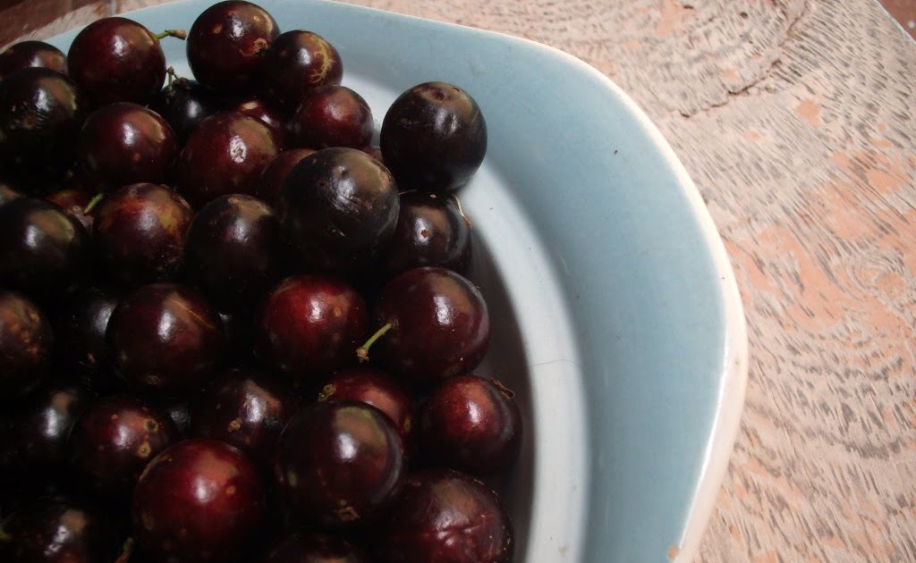 TODODIA -Gel Body Wash Amora Vermelha e Jabuticaba