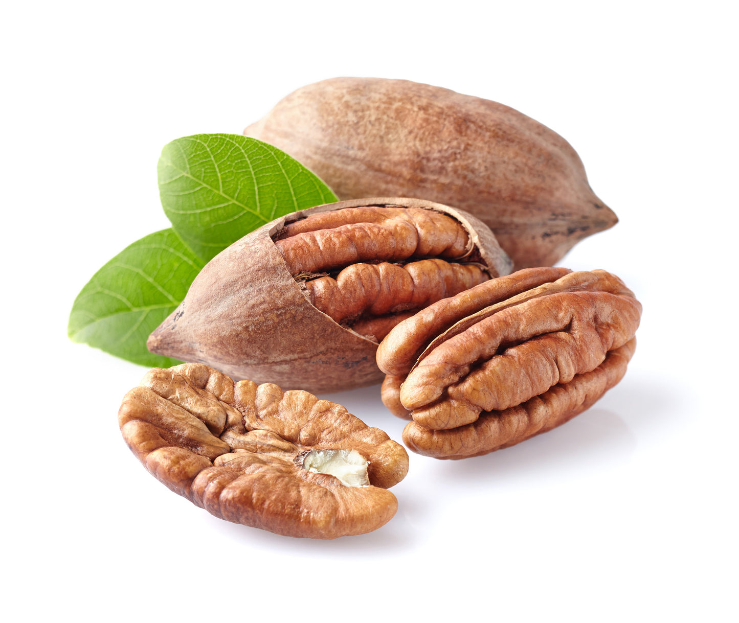 TODODIA - Nourishing Body Cream Noz Peca e Cacau