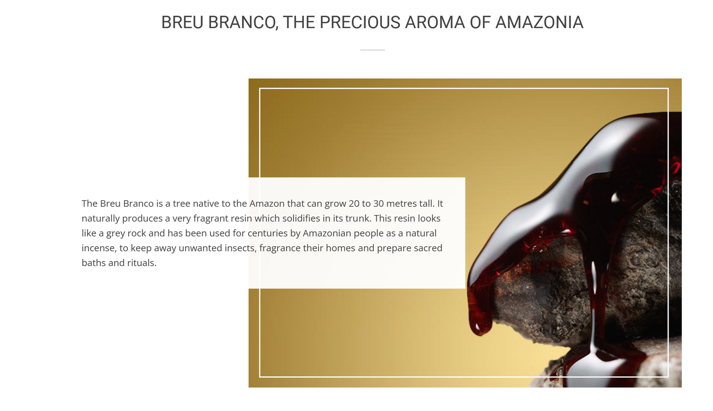 EKOS - Breu Branco Body Shower Gel