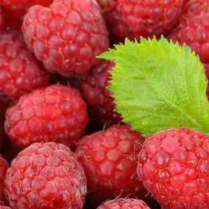 TODODIA - Raspberry and Red Pepper