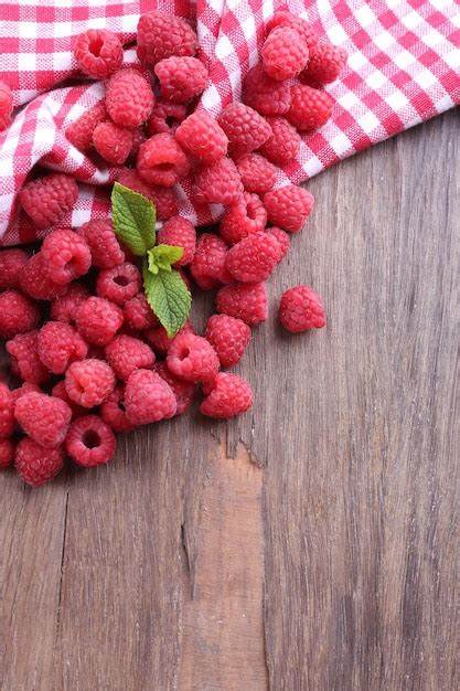 TODODIA - Nourishing Body Cream Framboesa e Pimenta Rosa