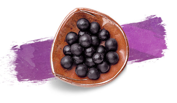 EKOS - Exfoliating Soap Bar Acai-Andiroba-Passion Fruit Chestnut