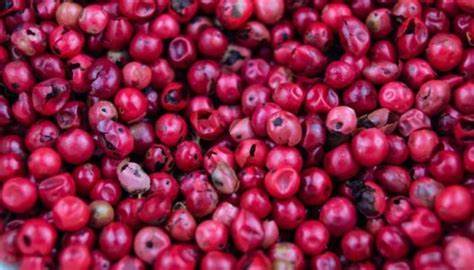 Sève Body Oil - Pimenta Rosa.