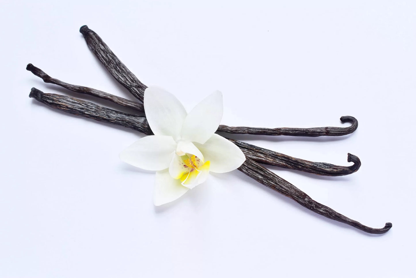 TODODIA - Ameixa e Flor de Baunilha