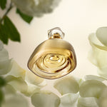 Aura Alba Women's Eau de Parfum 75ml
