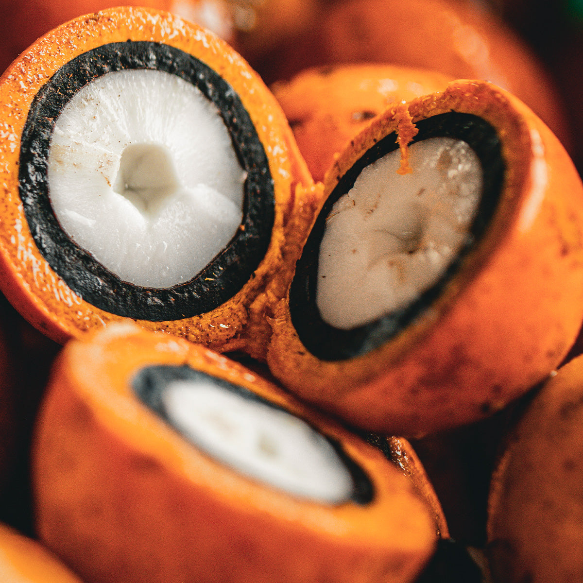 Natura Ekos Tukumã Set