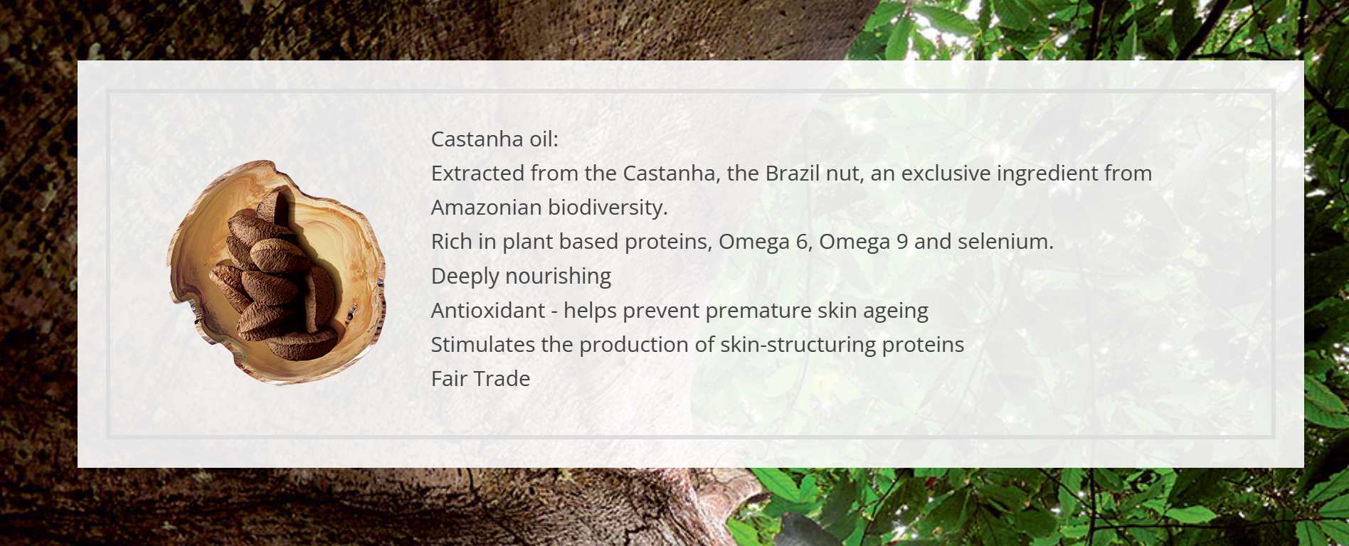 Ekos - Exfoliating Soap Bar Collection – Ucuuba, Castanha, Andiroba & Passion Fruit