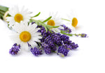 Tododia - Chamomile and Lavender Tea Body Wash.